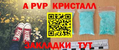 эйфоретик Донской