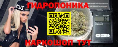 эйфоретик Донской
