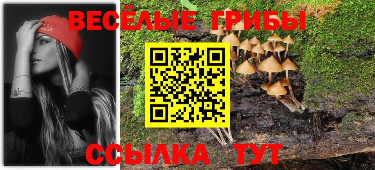 где можно купить   Галлюциногенные грибы Cubensis  Псилоцибиновые грибы Magic Shrooms  Вход с VPN  Мурино 